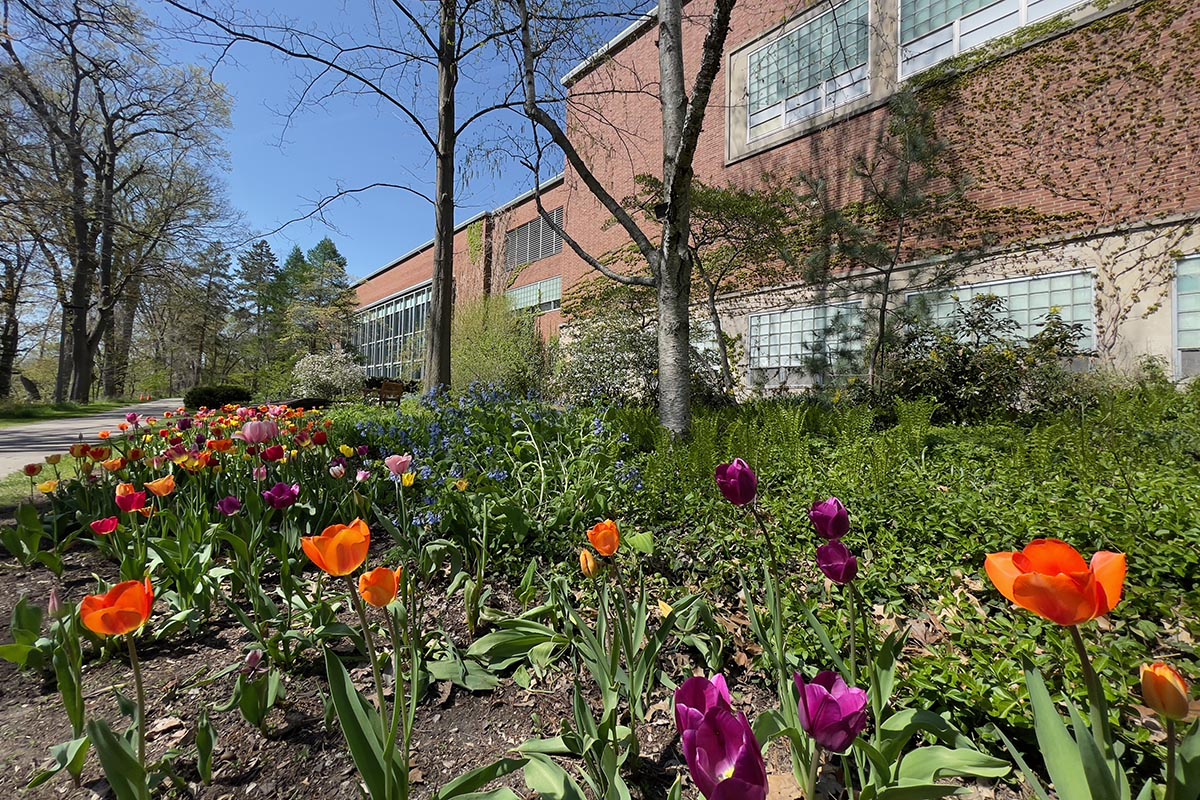 Flowers on campus