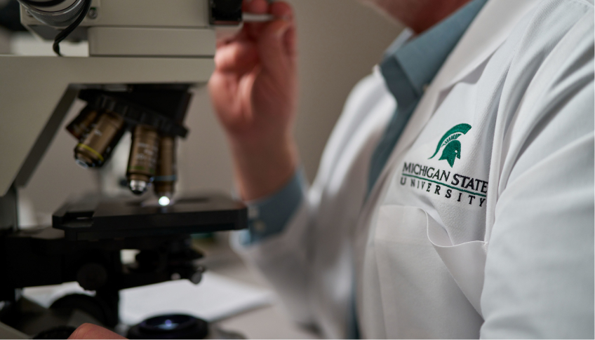 Researcher working in a lab