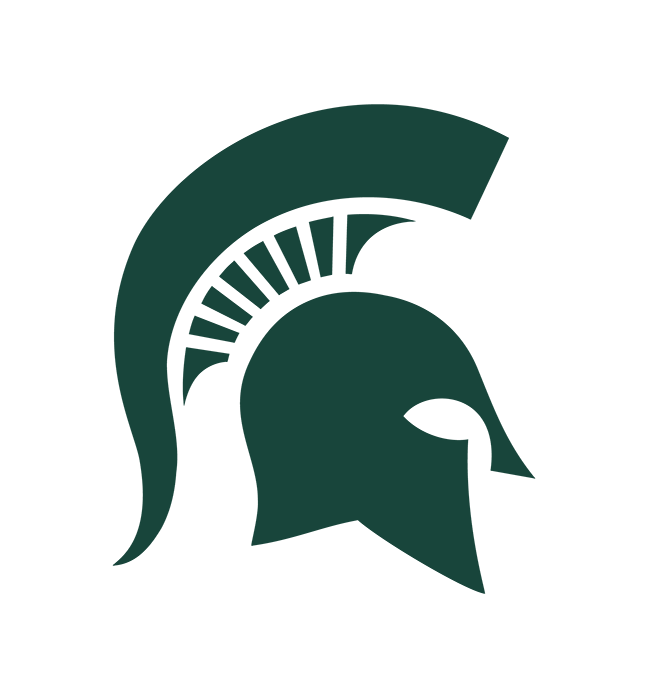 Sparty helmet missing image