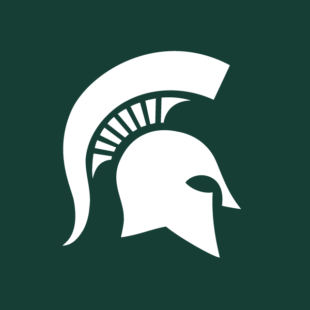 Sparty helmet missing image