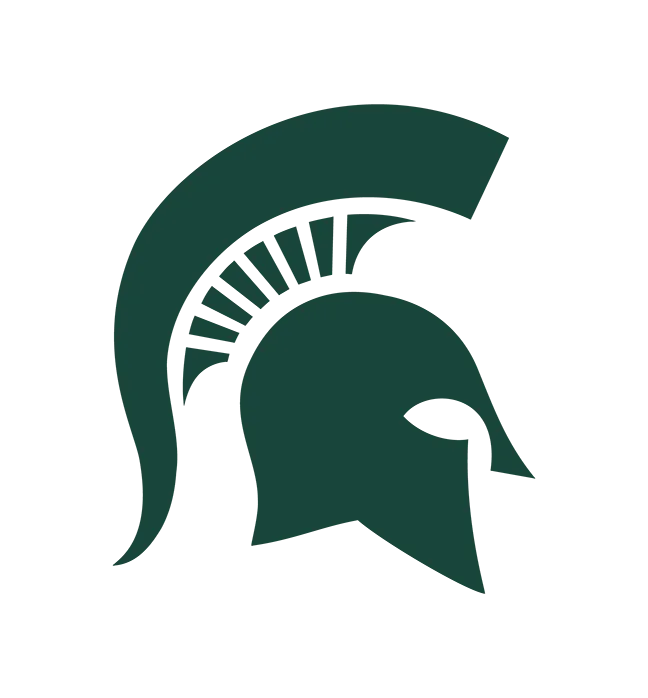 Sparty helmet missing image